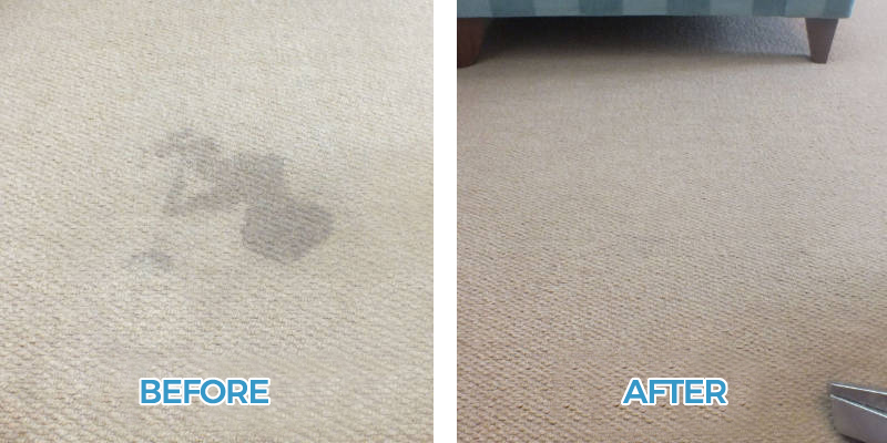 Pet Stain Removal