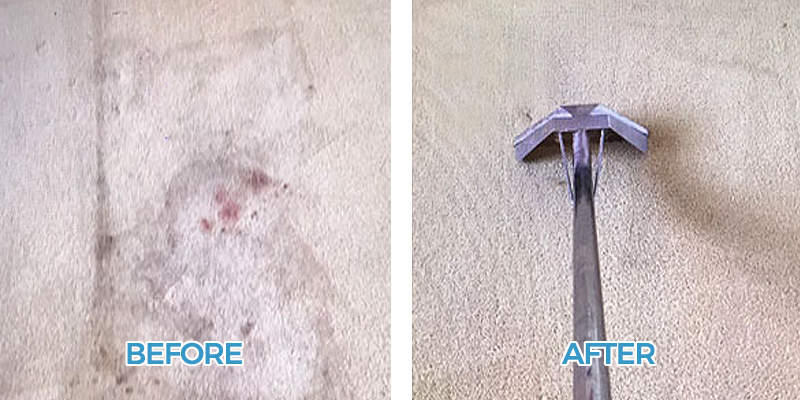 Stain Removal Before and After