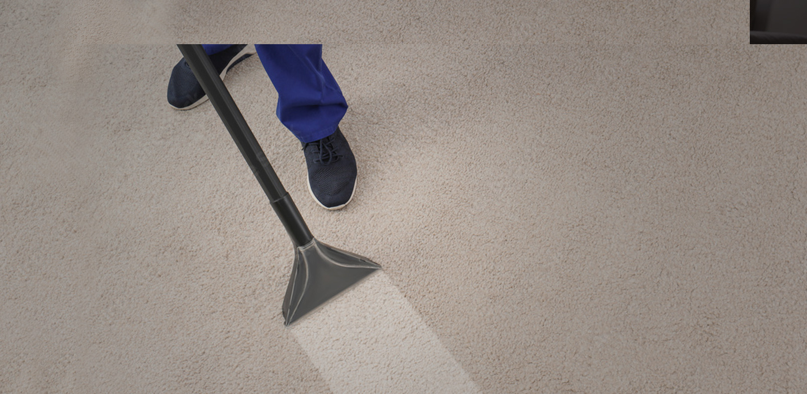 Carpet Cleaning